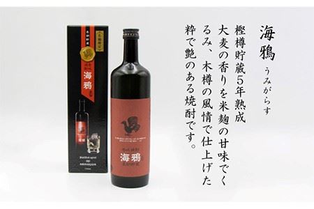麦焼酎 海鴉 25度 720ml 2本《壱岐市》【天下御免】[JDB034] のし ギフト
