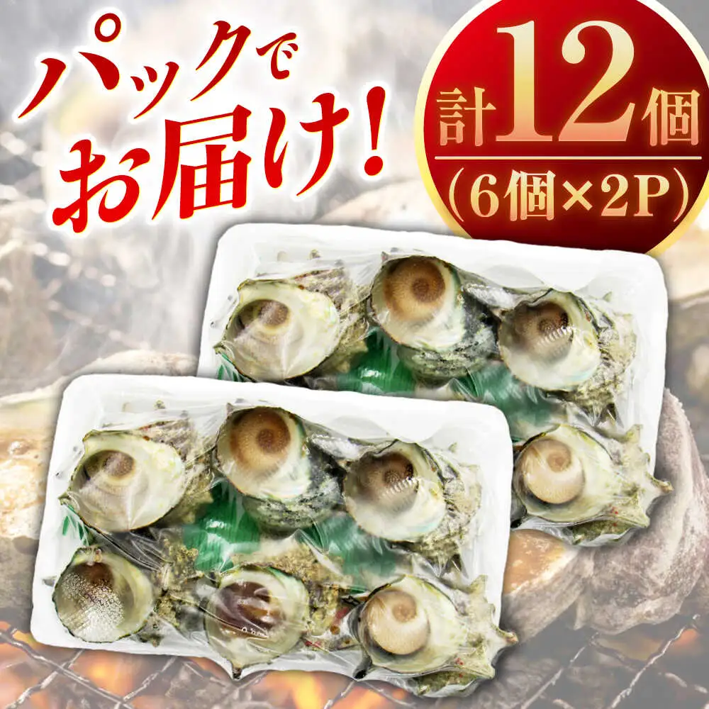 【全6回 定期便 】秘伝のタレ サザエのつぼ焼き（ 6個入り×2パック ）おつまみ 酒の肴《 壱岐市 》【天下御免】[JDB102] 78000 78000円