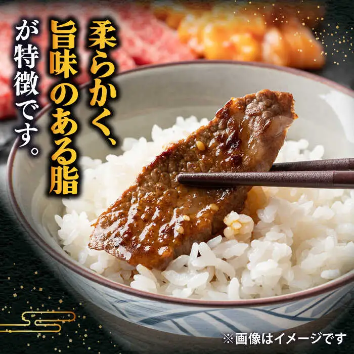 壱岐牛 焼肉用（カルビ・ロース） 900g JDD005 和牛焼肉