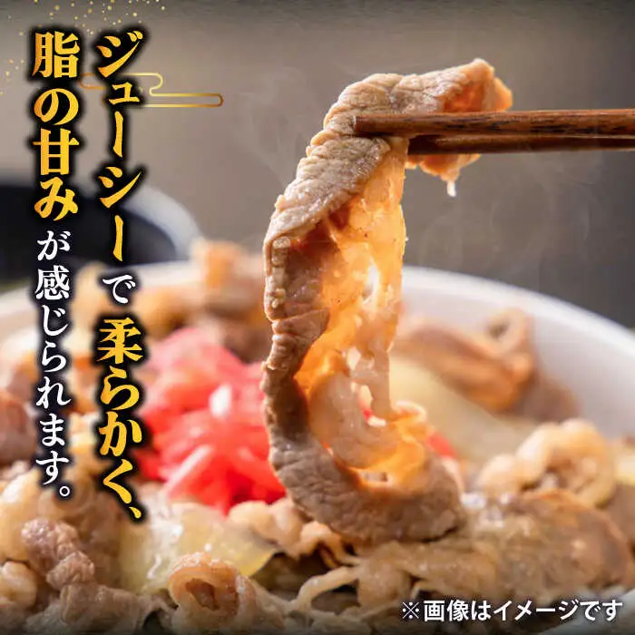 【全3回定期便 】特選 壱岐牛 切り落とし 500g (牛丼/肉じゃが/炒め物)  [JDD009]
