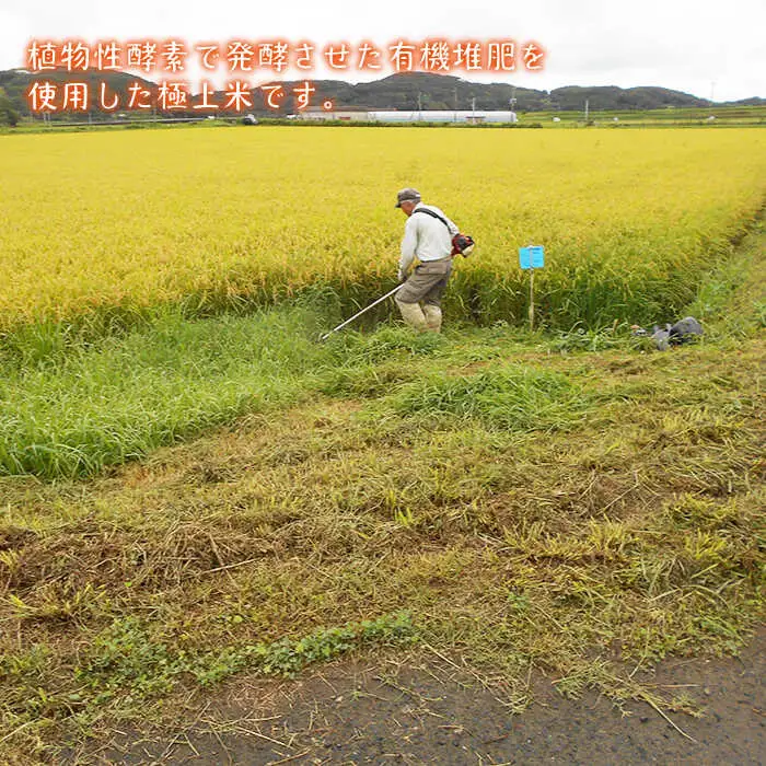 酵素米 なつほのか 5kg [JDG001] 米 有機