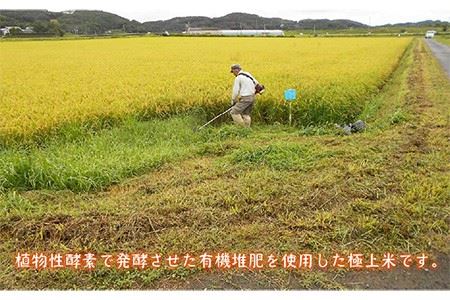 【全6回定期便】【R8年度産】なつほのか 酵素米 5kg [JDG004] 米 有機