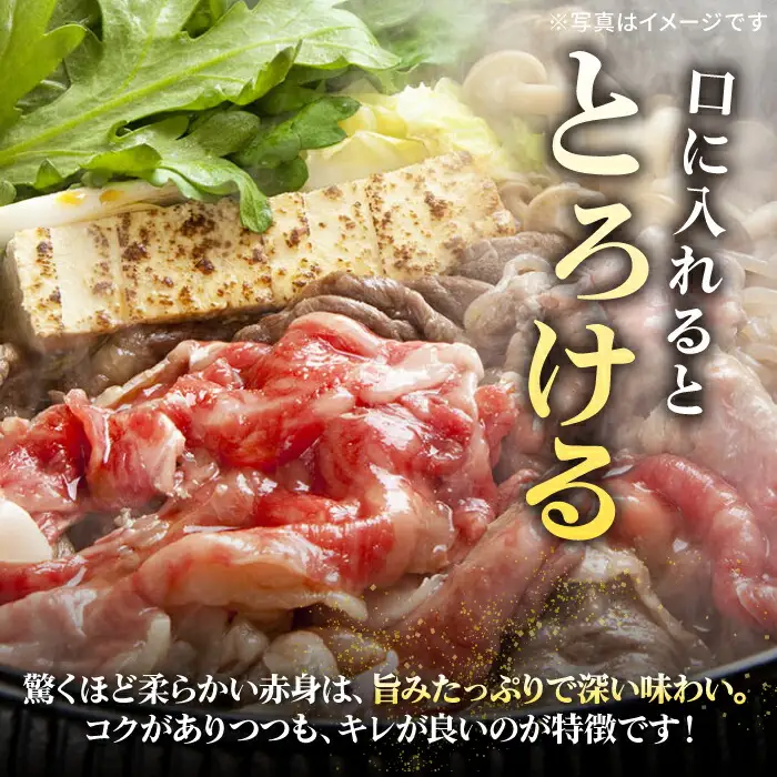 【特選】壱岐牛 切り落とし900g (牛丼/炒め物/すき焼き) [JDL021]