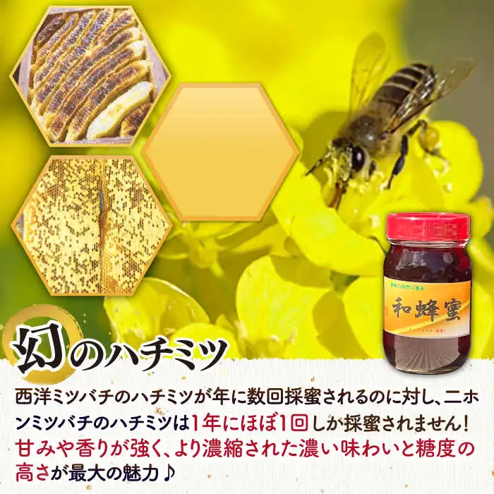 和蜂蜜（ニホンミツバチ）600g[JDP003] ハチミツ
