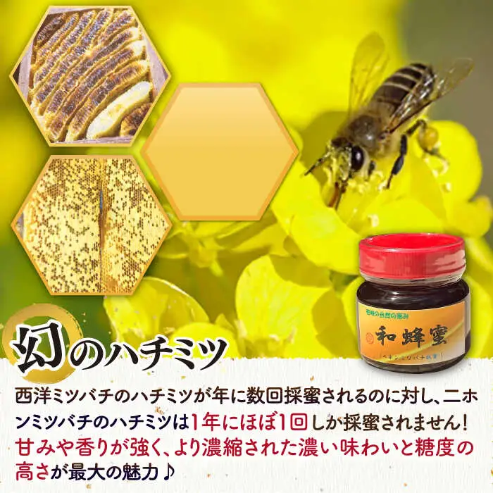 和蜂蜜（ニホンミツバチ）300g [JDP004] ハチミツ