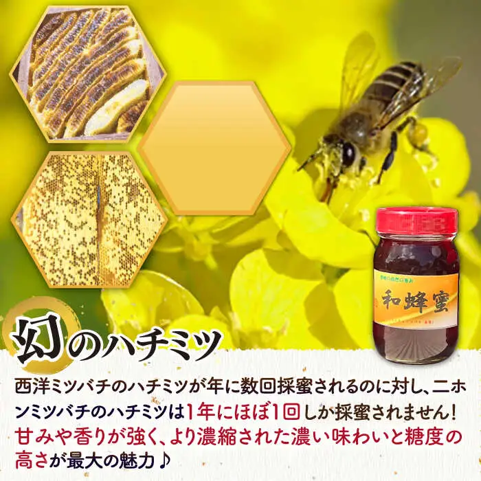 和蜂蜜（ニホンミツバチ） 600g×3本[JDP006] ハチミツ