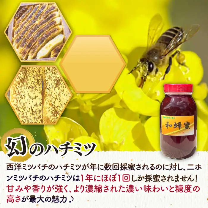 和蜂蜜（ニホンミツバチ） 1.2kg[JDP007] ハチミツ
