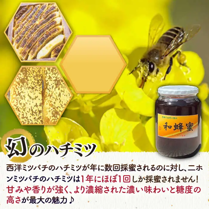 和蜂蜜（ニホンミツバチ）1kg[JDP008] ハチミツ