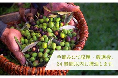 【数量限定】オリーブの新漬け（100g × 3袋） [JDU008] オリーブ