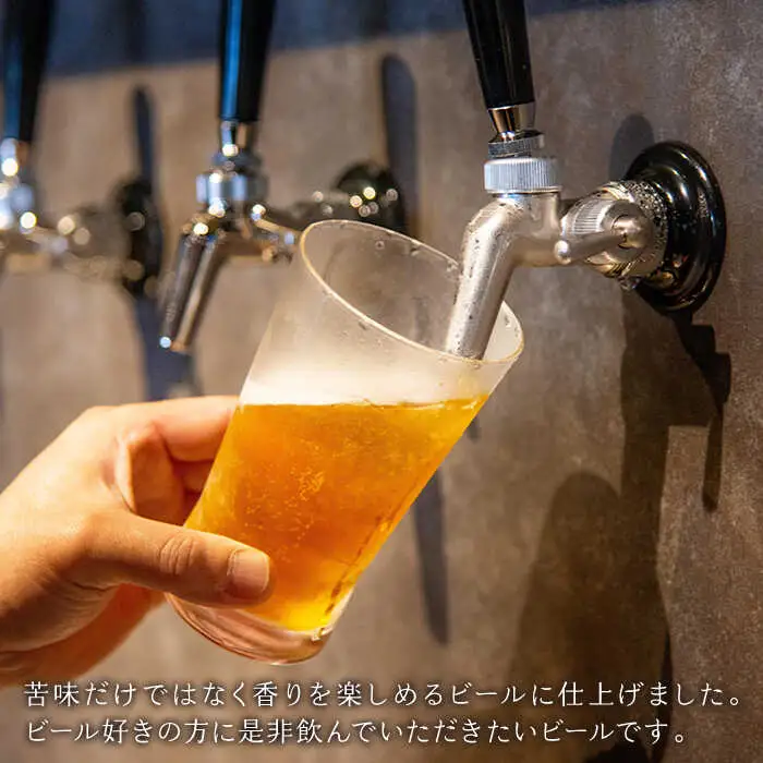 クラフトビール 地ビール 『 IPA 』330ml 6本 《壱岐市》【ISLAND BREWERY】[JED002] 18000 18000円