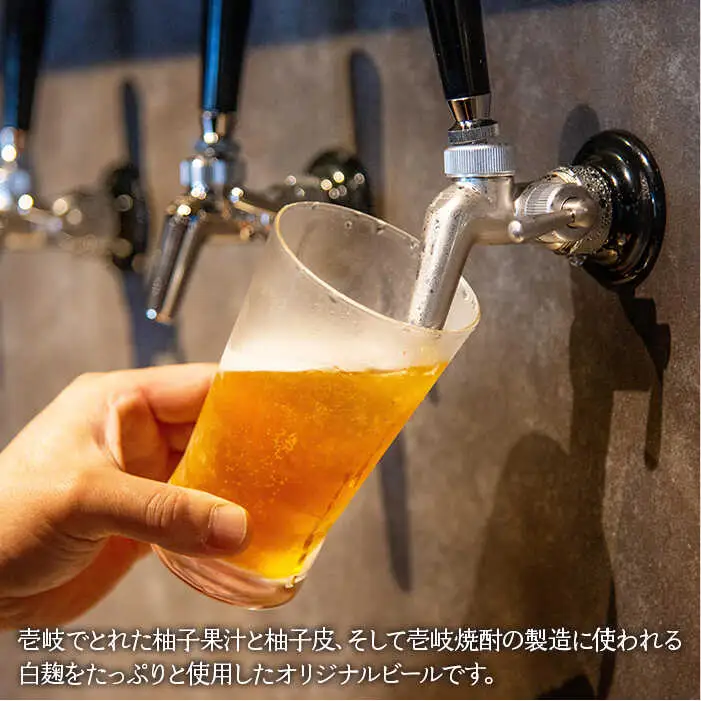 【全6回 定期便 】クラフトビール 地ビール  YUZU-KOJI ALE 6本 【ISLAND BREWERY】 《 壱岐市 》[JED016] 108000 108000円