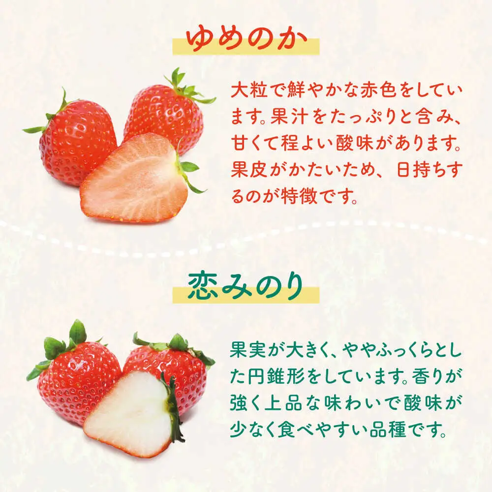 【先行予約】家庭用 いちご 1kg（ゆめのか/恋みのり） [JEO002] イチゴ 苺