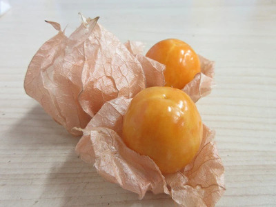 鬼あかり（ほおずき）120g×4パック ｜ 鬼灯 ホウズキ 特産品 ジャム フルーツ 愛媛県 鬼北町 ※2027年3月～発送
