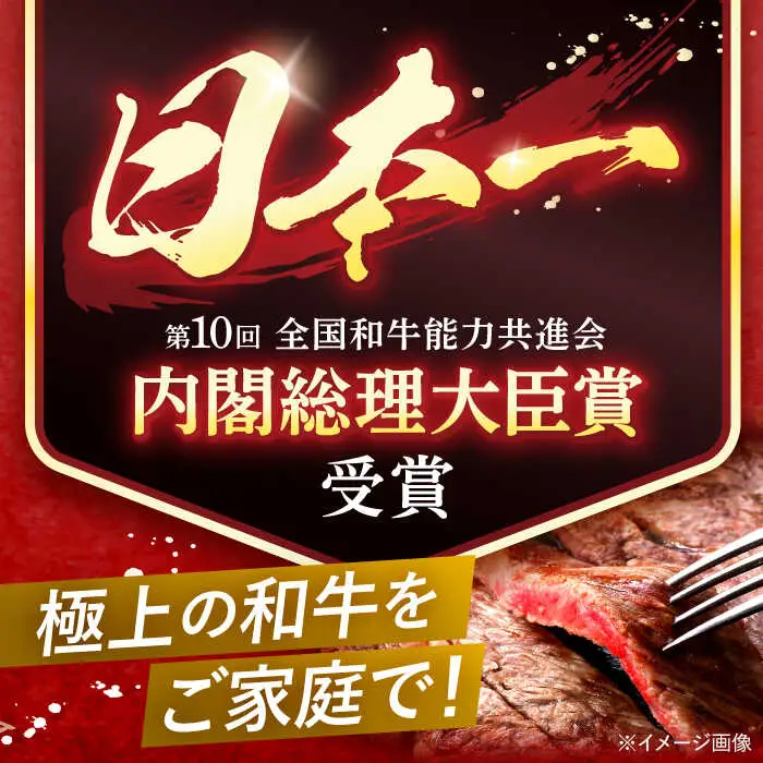 【全6回定期便】 長崎和牛 A5ランク サーロインステーキ 2枚 計400g / ステーキ すてーき 和牛 牛肉 ぎゅうにく 国産牛 牛 肉 サーロイン A5 焼肉 / 諫早市 / 焼肉おがわ [AHCD010]