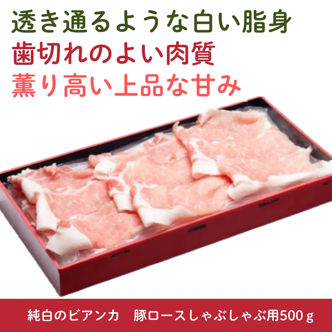純白のビアンカ 豚ロースしゃぶしゃぶ用 500g 豚肉 ぶた ぶた肉 肉 お肉 国産 冷凍 箱入り のし 贈答 ギフト プレゼント お中元 お歳暮 父の日 母の日 敬老の日 鍋 すき焼き 蒸し 新鮮 新潟県 阿賀野市 1D01009