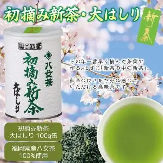 【予約限定茶】希少品「2027年産 初摘み新茶」100g缶詰 ２缶化粧箱入 ギフト対応 ＜岩崎園製茶＞｜2027年5月初旬頃発送 075-049