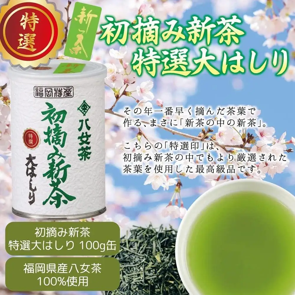 【予約限定茶】希少品「2027年産 特選初摘み新茶」100g缶詰 2缶化粧箱入 ギフト対応＜岩崎園製茶＞｜2027年5月初旬頃発送 075-050