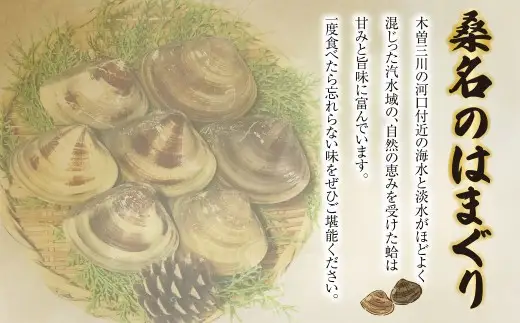 【指定日必須】【配送不可地域有】マルヨシ水産 桑名産大粒天然蛤 2kg（約15～20個）はまぐり ハマグリ 魚介 貝 魚貝 活はまぐり 焼きはま 海鮮 網焼き 酒蒸し お吸い物 パエリア パスタ 焼きはまぐり 焼き蛤 その手は桑名の焼きはまぐり 特産