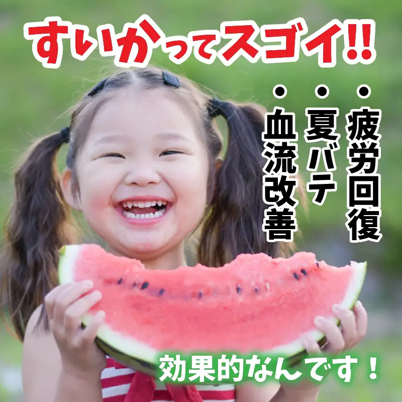 【先行予約】甘さきらめく「夏の天使」スイカ1玉 【2027年7月中旬以降順次発送予定】スイカ 西瓜 すいか 大玉 デザート 果物 お取り寄せ 産地直送 [A-1005]