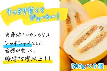 東尋坊キンカンウリ 3kg (500g × 6個入) まくわうり 瓜 [A-10241]