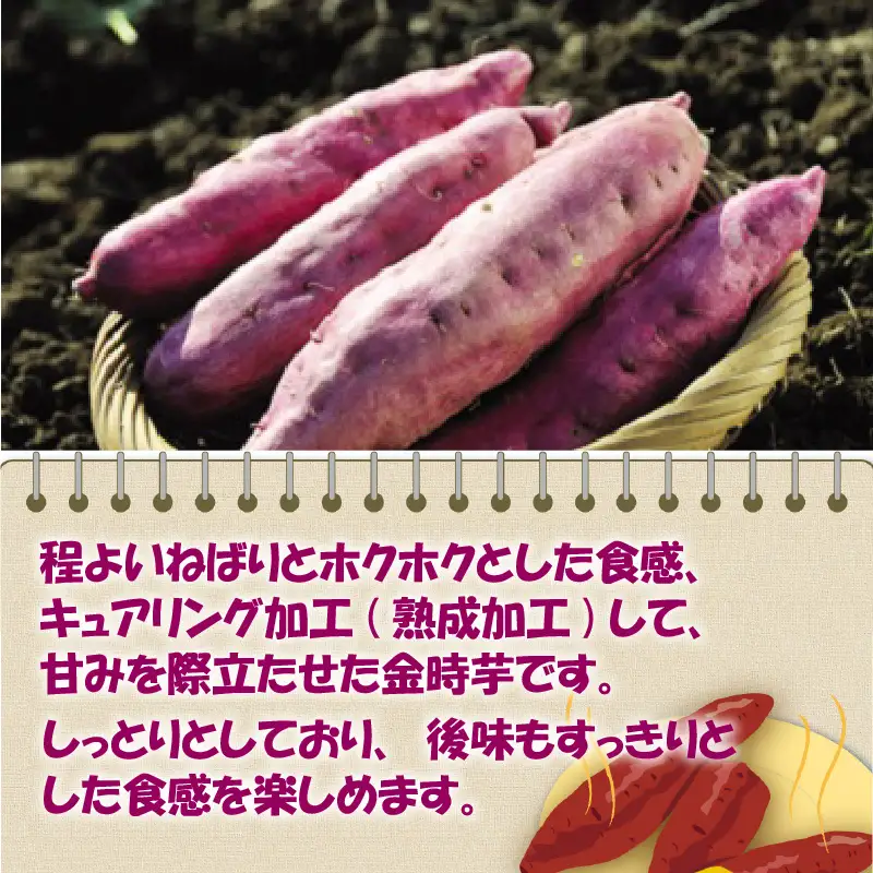 【先行予約】 三里浜金時 10kg (5kg×2箱) キュアリング加工済み 【2026年11月上旬以降順次発送】 [A-1155]