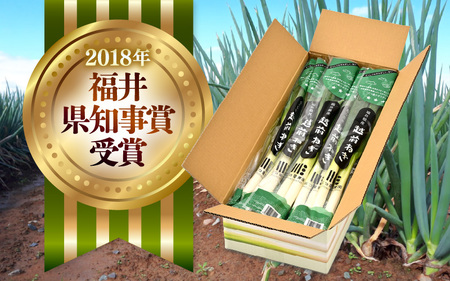 【先行予約】 日本海の寒い冬が育てる、極上の白ネギ 1ケース (15束) 【2026年9月下旬以降順次発送予定】 [A-2605]