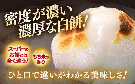 白丸餅 5個 × 4パック 20個入り 2026年11月下旬以降順次発送 餅 おもち たんちょうもち米 [A-2994]