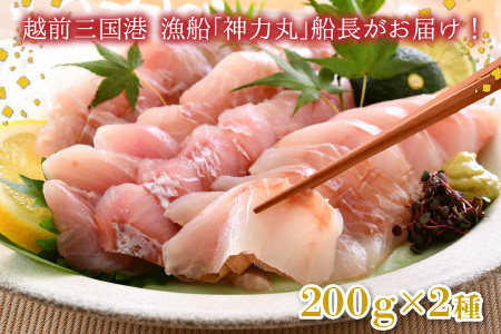 とれピチ鮮魚のおまかせ刺身用 200g×2種 ～越前三国港 漁船「神力丸」 船長がお届け！～ [A-5824]
