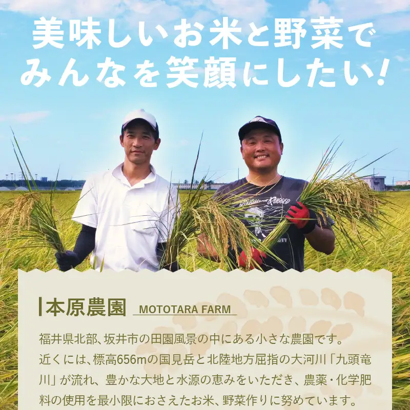 【先行予約】【令和8年産・新米】【農家直送定期便 2ヶ月コース】本原農園のまごころコメたコシヒカリ 5kg × 2回 計10kg（白米）【2026年10月上旬以降順次発送】 [B-8919_01]