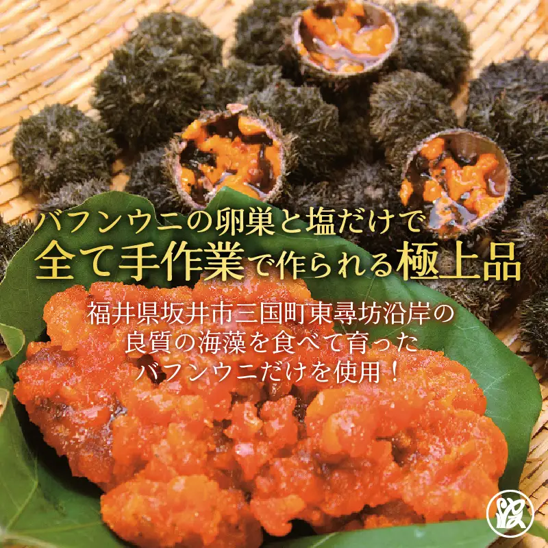 日本三大珍味 越前雲丹 30g 塩うに うに おつまみ  [F-1701]