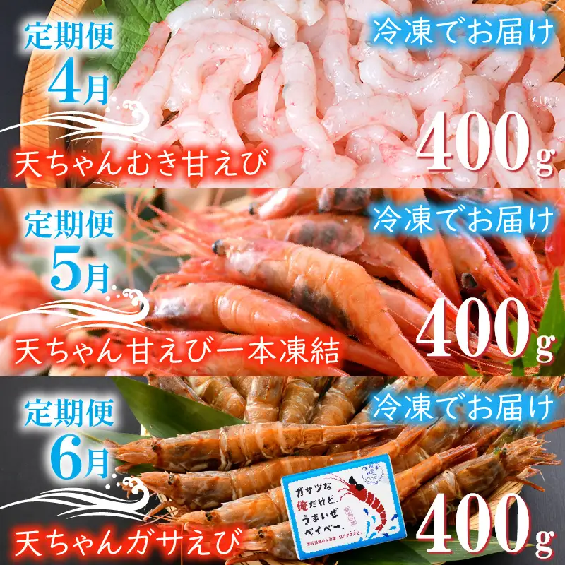 3ヶ月連続お届け 旬のエビ三昧定期便 2027年4月以降発送 甘えび 剥きエビ [C-8503]
