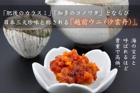 濃厚な旨味が口中に溢れる 坂井市三国産 極上汐雲丹 40g [C-9202]