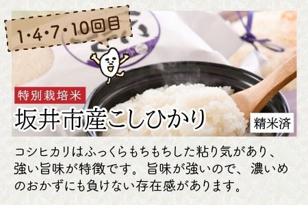 【令和8年産】 定期便 ≪12ヶ月連続お届け≫ 福井県発祥のお米 3種食べ比べ 5kg × 12回 計60kg 【 人気 品種 ブランド米 特A 】 [N-6104]