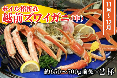 【先行予約】【訳あり】【年3回お届け】 三国港 越前がに三昧 ～茹で！× 鍋！× 茹で！～ 【2026年11月中旬～2027年3月発送】 [P-4305] 
