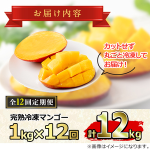【156951】＜定期便・全12回(連続)＞鹿児島県産！南国の恵み！丸ごと冷凍完熟マンゴー(1kg×12回)果物 フルーツ 果実 冷凍 デザート 国産【甘宮】