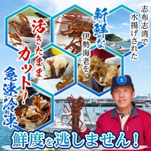 【数量限定】鹿児島県志布志湾産 カット済み天然伊勢海老＜味噌汁用＞計540g(270g×2P) b5-204