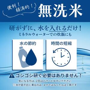 米 無洗米 令和7年産 はえぬき 10kg（5kg×2） F3S-2650