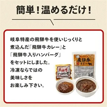 レビューキャンペーン中!飛騨牛入り製品詰め合わせ(カレーとハンバーグ)【2種6食セット】【配送不可地域：離島】【1213291】