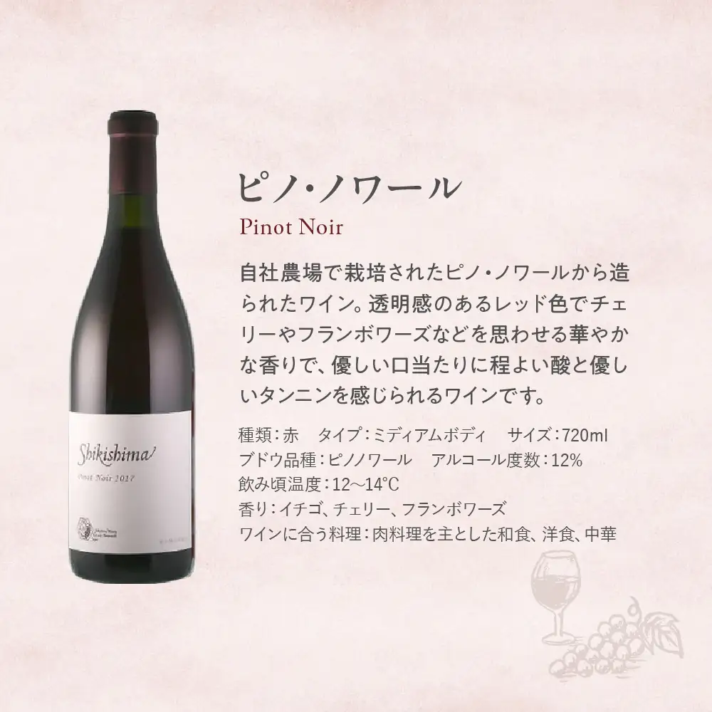 ピノ・ノワール 720ml×1本 ワイン お酒 酒 アルコール 葡萄 ブドウ ギフト プレゼント 贅沢 山梨 甲斐市 F-32