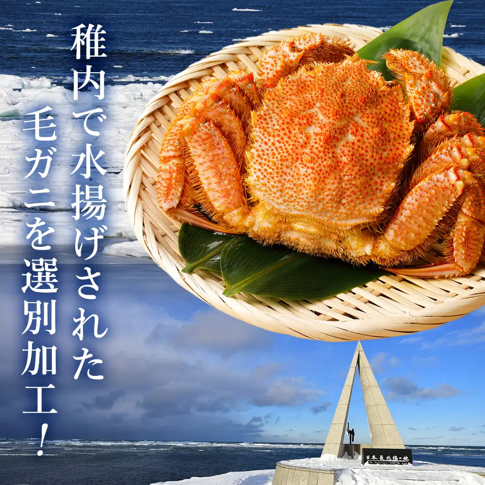稚内産　毛がに 700g前後2尾セット【配送不可地域：離島】