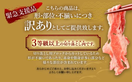 【緊急支援品 無くなり次第終了 訳あり】 博多和牛 ＋ 国内産 黒毛和牛 切り落とし 合計1.8kg(300g×6パック)