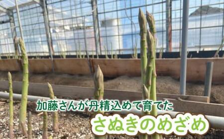アスパラガス (さぬきのめざめ) 夏芽 1kg カトちゃん農園