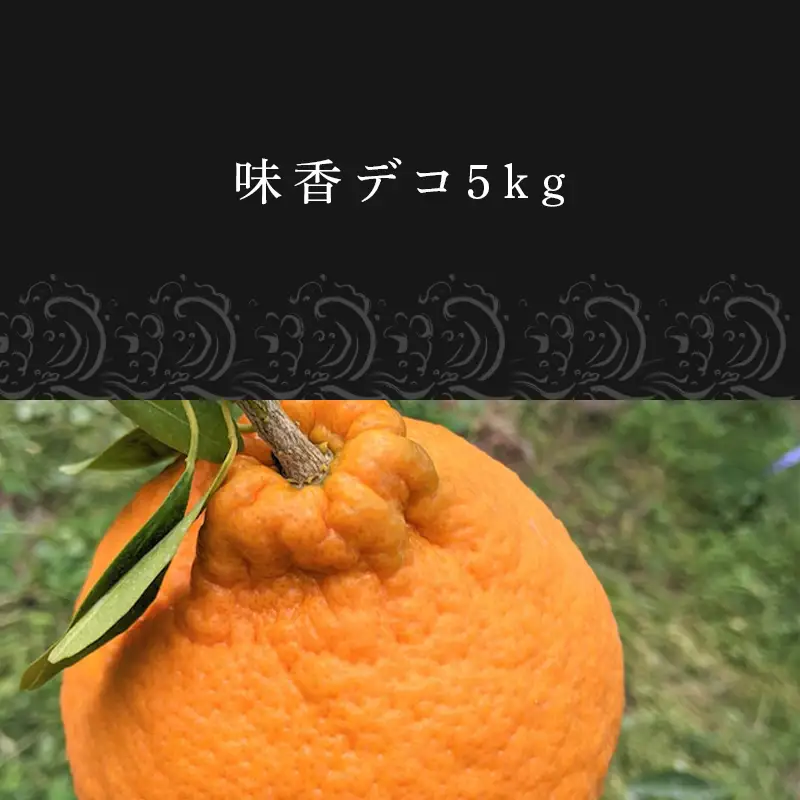 『先行予約』【令和9年3月上旬発送】糖度が高すぎッ！味香デコ 5kg 新品種