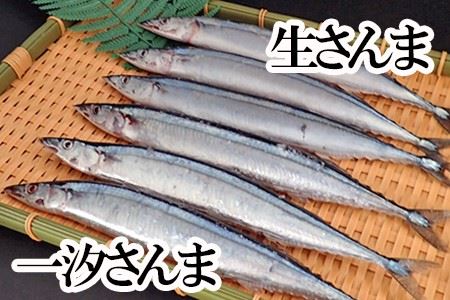 【北海道根室産】一汐さんま6尾入×2P、生さんま6尾入×2P A-11195