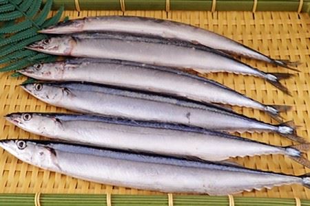 【北海道根室産】生さんま6尾入×4P(計24尾) A-14208