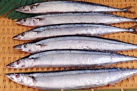 【北海道根室産】一汐さんま6尾入×4P(計24尾) A-14209
