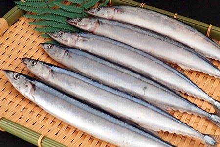 【北海道根室産】根室海鮮市場[直送]生さんま6尾入×4P(計24尾) A-28195