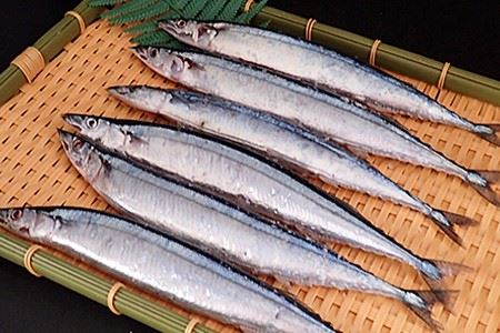【北海道根室産】根室海鮮市場[直送]一汐さんま6尾入×4P(計24尾) A-28196