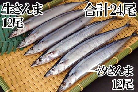 【北海道根室産】根室海鮮市場[直送]一汐さんま6尾入×2P、生さんま6尾入×2P A-28197