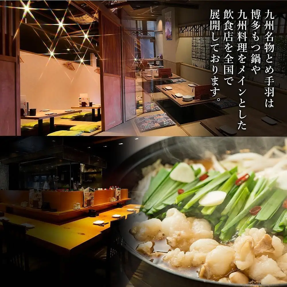 九州名物とめ手羽 博多もつ鍋セット 九州しょうゆ味 2～3人前